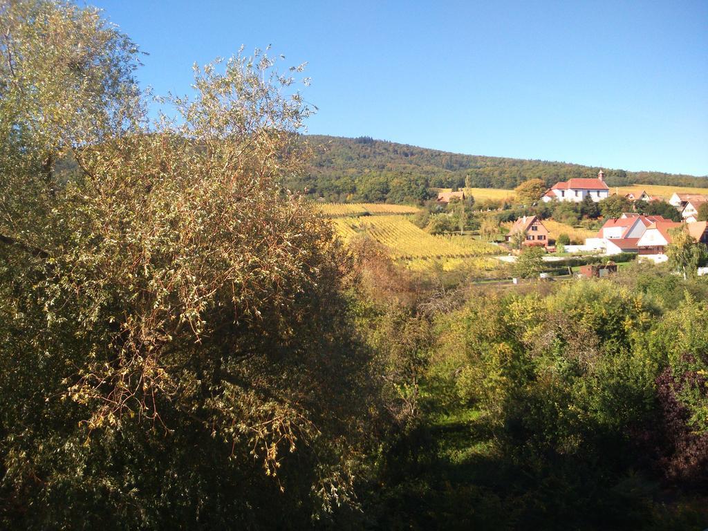 Hotel Restaurant Verger Des Chateaux, Route Des Vins Haut-Koenigsbourg Dieffenthal Екстериор снимка