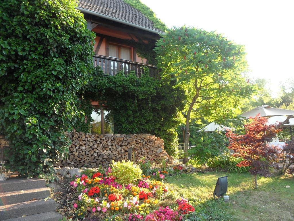 Hotel Restaurant Verger Des Chateaux, Route Des Vins Haut-Koenigsbourg Dieffenthal Екстериор снимка